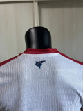 2026 Cape Verde Islands Away Player Version Thailand Quality