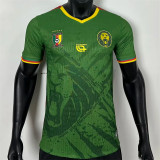 25-26 Cameroun home Player Version Thailand Quality