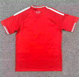 2026 Wales home Fans Version Thailand Quality