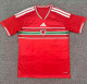 2026 Wales home Fans Version Thailand Quality