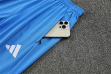 Player Version 25-26 Real Madrid (light blue) Adult Sweater tracksuit set