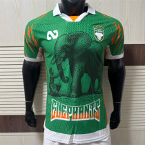 2025 Coate d'Ivoire Player Version Thailand Quality