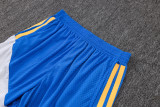 25-26 Al-Nassr FC (Player Version) Soccer shorts Thailand Quality