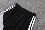 25-26 Liverpool (Player Version) Set.Jersey & Short High Quality