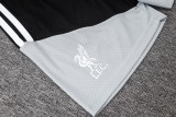 25-26 Liverpool (Player Version) Set.Jersey & Short High Quality