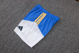 25-26 Al-Nassr FC (Player Version) Set.Jersey & Short High Quality