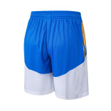 25-26 Al-Nassr FC (Player Version) Soccer shorts Thailand Quality