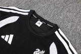 25-26 Liverpool (Player Version) Set.Jersey & Short High Quality