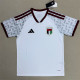 2026 United Arab Emirates home Fans Version Thailand Quality