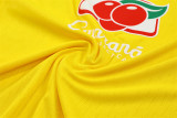 Player Version 25-26 Brazil (yellow) Adult Sweater tracksuit set