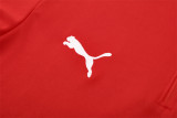 25-26 Portugal (red) Adult Sweater tracksuit set