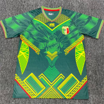 2026 République du Mali (Training clothes) Fans Version Thailand Quality