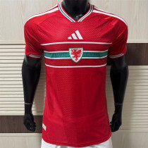 2026 Wales home Player Version Thailand Quality