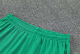 2026 Morocco (Training clothes) Set.Jersey & Short High Quality