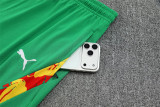 2026 Senegal (Training clothes) Set.Jersey & Short High Quality
