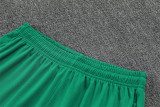 2026 Morocco (Training clothes) Set.Jersey & Short High Quality