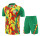 2026 Senegal (Training clothes) Set.Jersey & Short High Quality