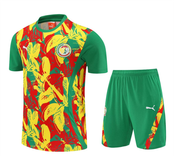 2026 Senegal (Training clothes) Set.Jersey & Short High Quality