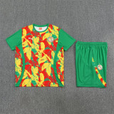 2026 Senegal (Training clothes) Set.Jersey & Short High Quality