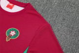 2026 Morocco (Training clothes) Set.Jersey & Short High Quality