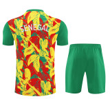 2026 Senegal (Training clothes) Set.Jersey & Short High Quality