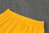 2026 Ghana (Training clothes) Set.Jersey & Short High Quality