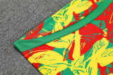 2026 Senegal (Training clothes) Set.Jersey & Short High Quality