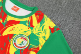 2026 Senegal (Training clothes) Set.Jersey & Short High Quality