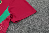 2026 Morocco (Training clothes) Set.Jersey & Short High Quality
