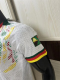 25-26 Cameroun Player Version Thailand Quality