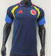 2026 Brazil Polo Jersey Thailand Quality
