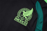 Player Version 2026 Mexico (Special Edition) Set.Jersey & Short High Quality