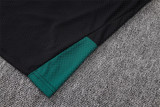 2026 Mexico (Training clothes) Player Version Thailand Quality