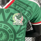 Player Version 2026 Mexico home Women Jersey Thailand Quality