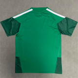 2025 Mexico (Special Edition) Fans Version Thailand Quality