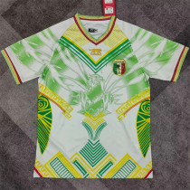 2026 République du Mali (Training clothes) Fans Version Thailand Quality
