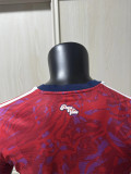 2026 Costa Rica home Player Version Thailand Quality