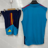 2026 Spain (Training clothes) Set.Jersey & Short High Quality