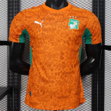 2026 Coate d'Ivoire home Player Version Thailand Quality