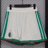 2026 Algeria home (Player Version) Soccer shorts Thailand Quality
