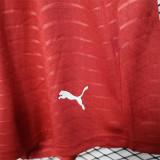 2026 Portugal home (Player Version) Soccer shorts Thailand Quality