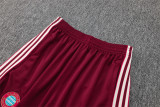 25-26 Bayern München (maroon) Jacket Adult Sweater tracksuit set