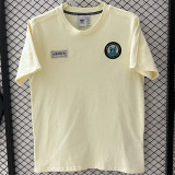 25-26 Newcastle United  (Cotton T-shirt)Fans Version Thailand Quality oasis