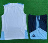 Player Version 2026 Argentina (vest) Set.Jersey & Short High Quality