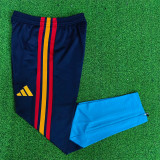 Player Version 2026 Spain (royal blue) Long training pants Thailand Quality
