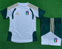 Player Version 2026 Italy (Training clothes) Adult Jersey & Short Set High Quality