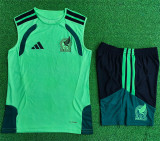 Player Version 2026 Mexico (vest) Set.Jersey & Short High Quality