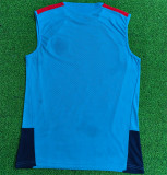 2026 Spain (vest) Player Version Thailand Quality
