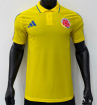2026 Brazil Polo Jersey Thailand Quality