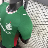 26-27 SE Palmeiras home Player Version Thailand Quality